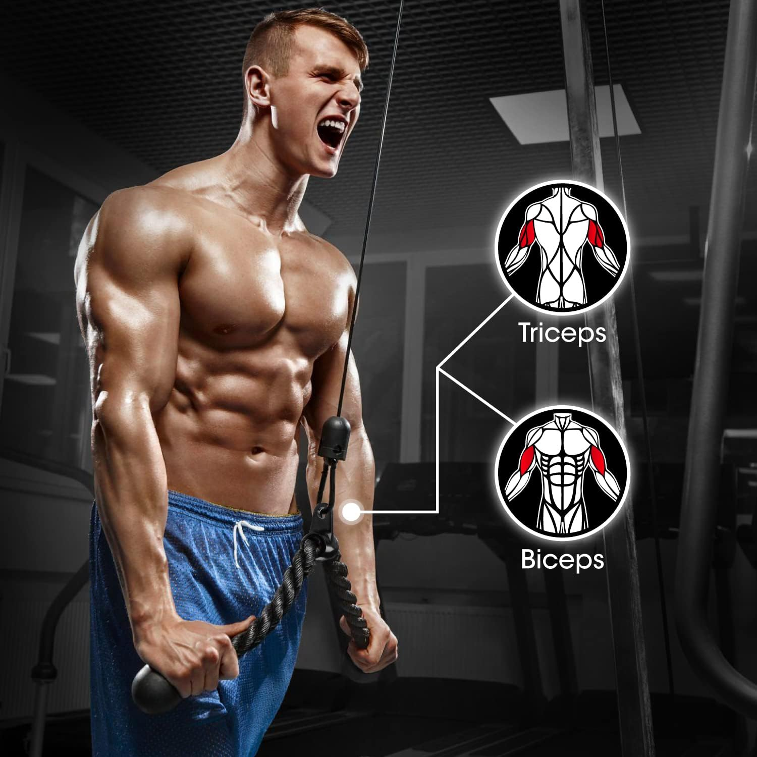 Yes4All Tricep Press down Cable Machine Attachment Set, LAT Pulldown Attachment, Cable Machine Accessories for Home Gym image number 4