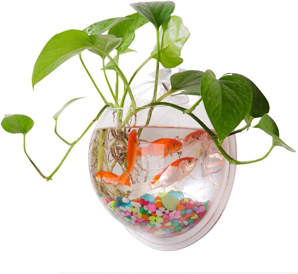 Fish Bowl, Acrylic Wall Hanging Fish Goldfish Bowl for Fish, Flower, Potted Plants, Small Items (Assorted Color) image number 5