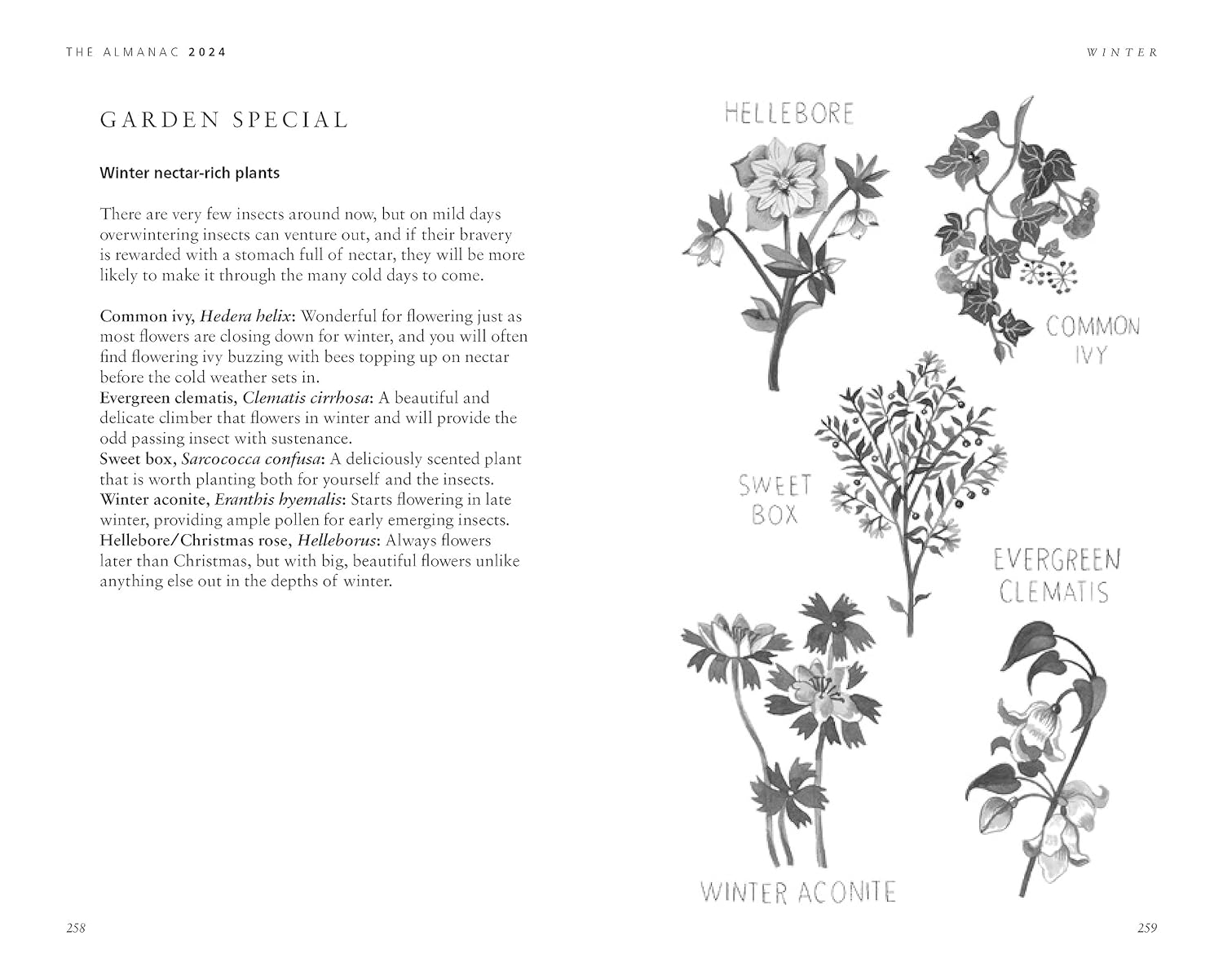 The Almanac: a Seasonal Guide to 2024 image number 6