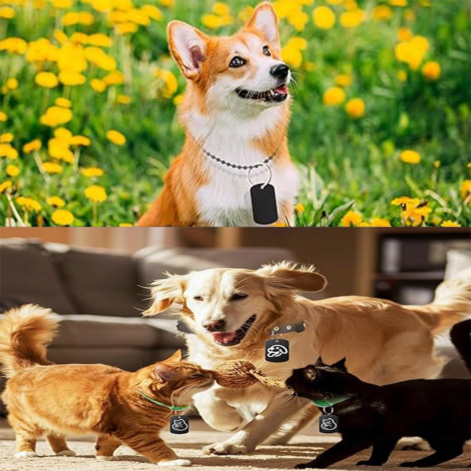 30Pcs Dog Tag, Aluminum Blank Tags Rectangle Stamping Blanks, Rectangle Blank Discs Aluminum Tag Blanks Metal Stamping Tags, Blank Dog Tags Aluminum Tags Rectangle Blank(Black)