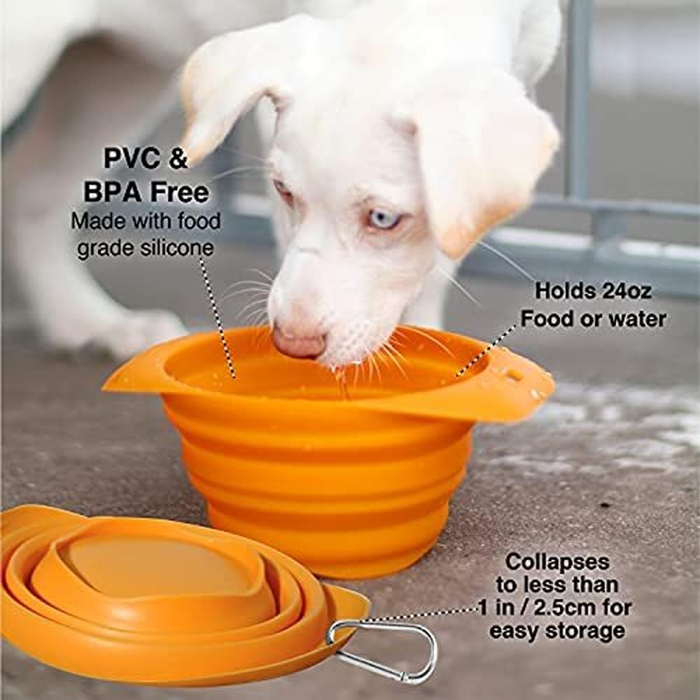 Kurgo Collaps-A-Bowl, Collapsible Dog Food and Water Travel Bowl, BPA Free, Includes Carabiner, Blue