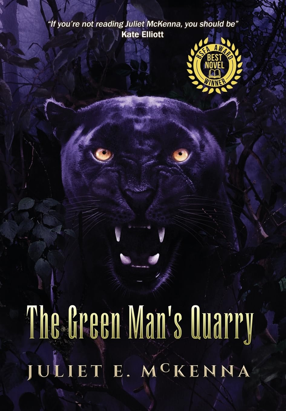 The Green Man'S Quarry: 6 image number 1