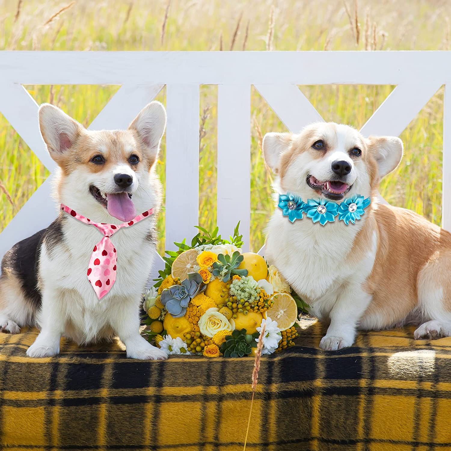 Chumia 100 Pcs Adjustable Dog Ties Set Includes 50 Bow Ties 25 Neckties 25 Flower Neck Tie Assorted Bowtie Collar Grooming Accessories for Medium Large Dog Cat Birthday Festival Holiday Party image number 3