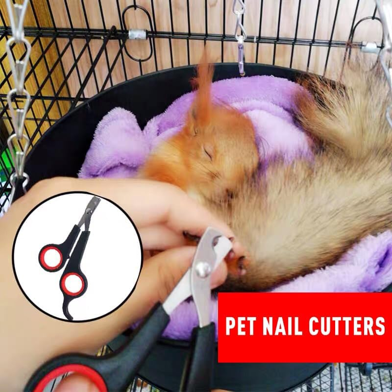 AIMALL Pet Nail Cutters Claw Grooming Scissors Clippers Trimmer Dog Cat Bird Rabbit，Durable Stainless Steel Grooming Scissors, Comfort Grip, Red & Black image number 5