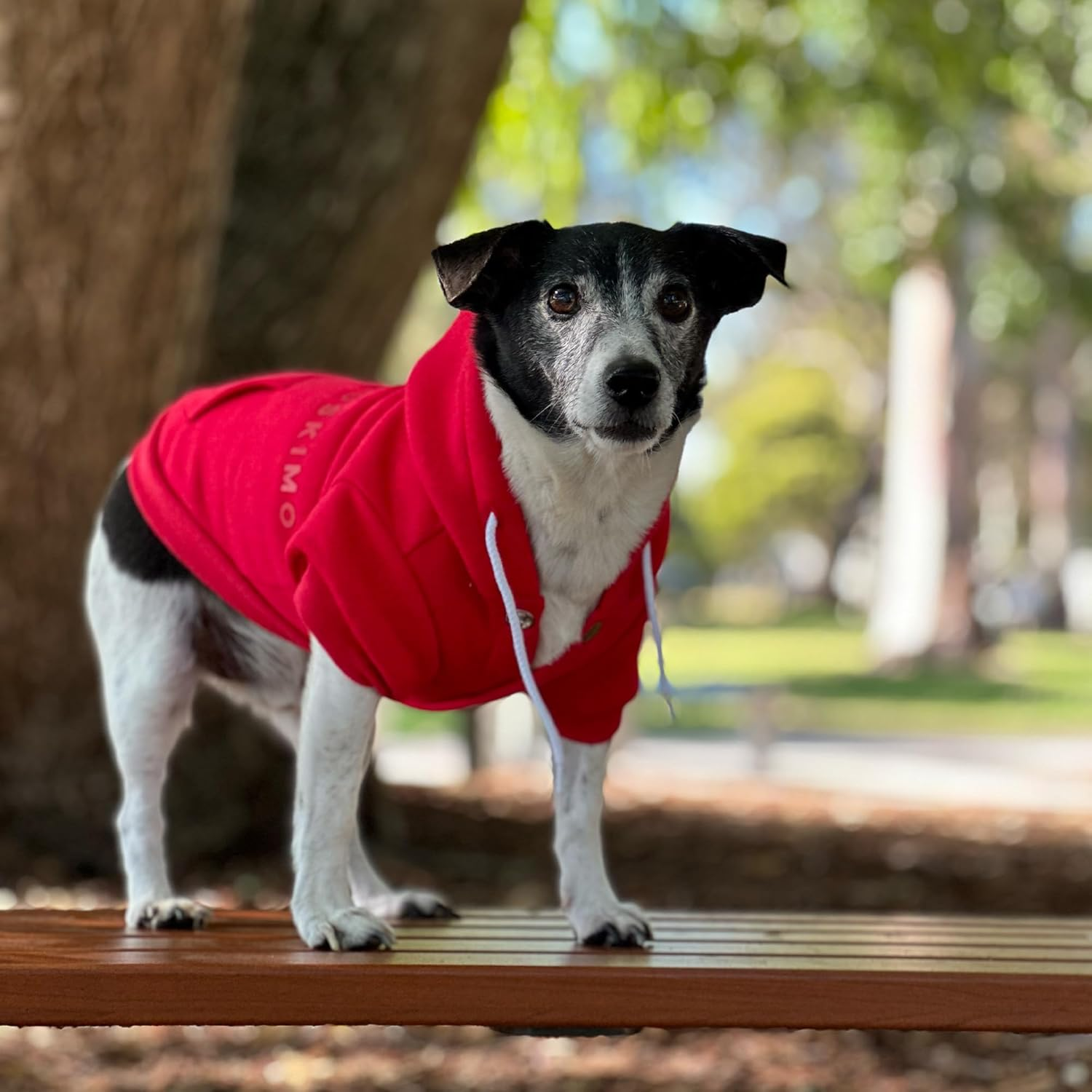 Huskimo Dog Hoodie Jindabyne Red 40Cm &ndash; Soft & Stylish Dog Jumper with Press Studs, Lead Hole & Embossed Logo, Machine Washable image number 6