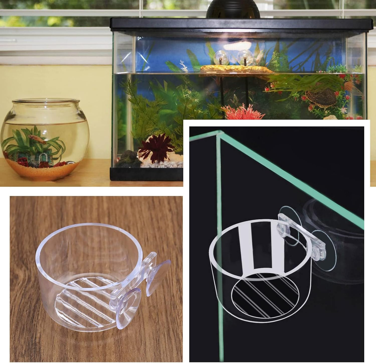Ecsing 4PCS Red Worm Feeder with Sucker Fish Tank Plant Shrimp Acrylic Feeding Bowl Bloodworm Water Food Dish Transparent Feeding Cup for Fish Shrimp Fish Tank image number 6