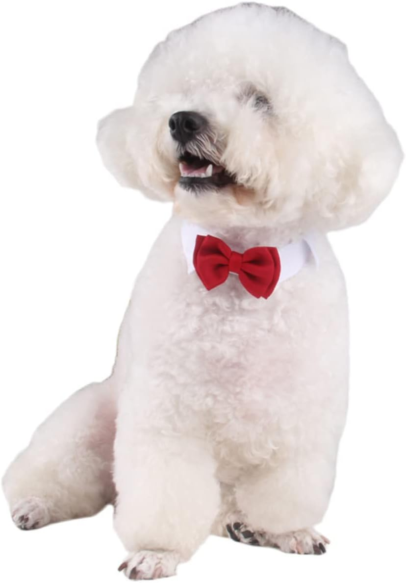 Ipetboom Pet Bowknot Collar Cat Cotton Tie for Daily Party Red Bow Tie Pet Supplies for Cat Accessories image number 1