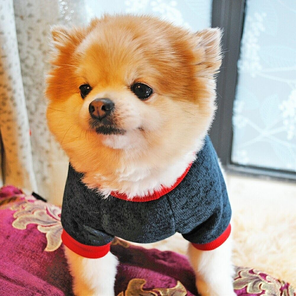 Pet Clothes, Winter Dog Sweater I Love My Mom/Dad Dog Sweatshirt Outfit Warm Dog Costume for Puppy Small Dogs (Daddy, XS) image number 2