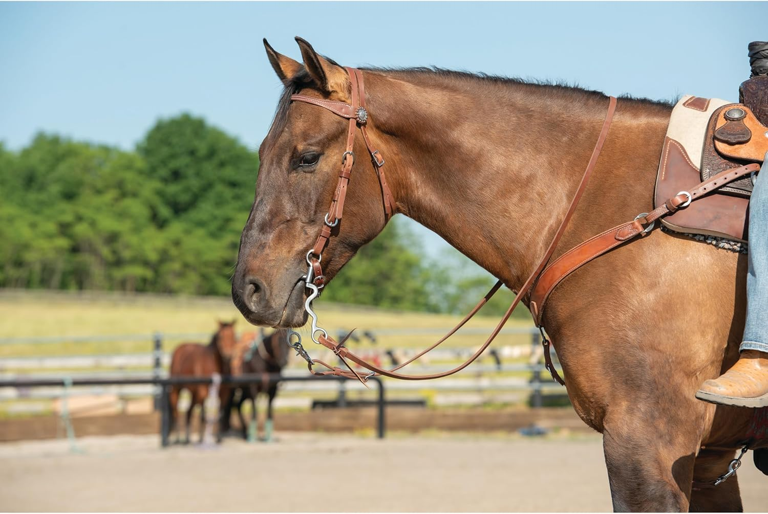Weaver Leather Stacy Westfall Protack Oiled Browband Headstall, Brown
