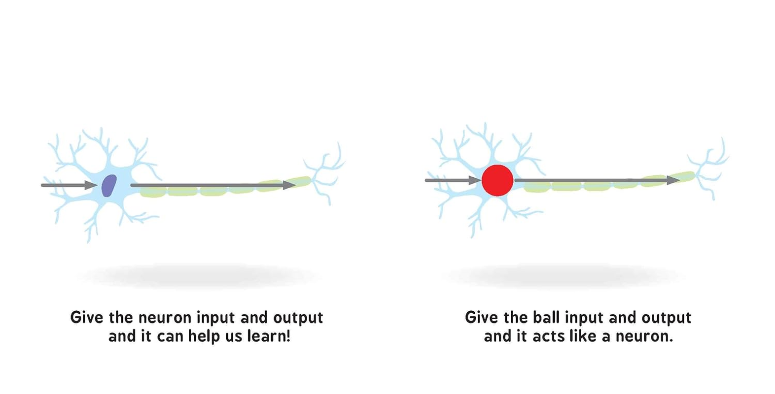 Neural Networks for Babies image number 4