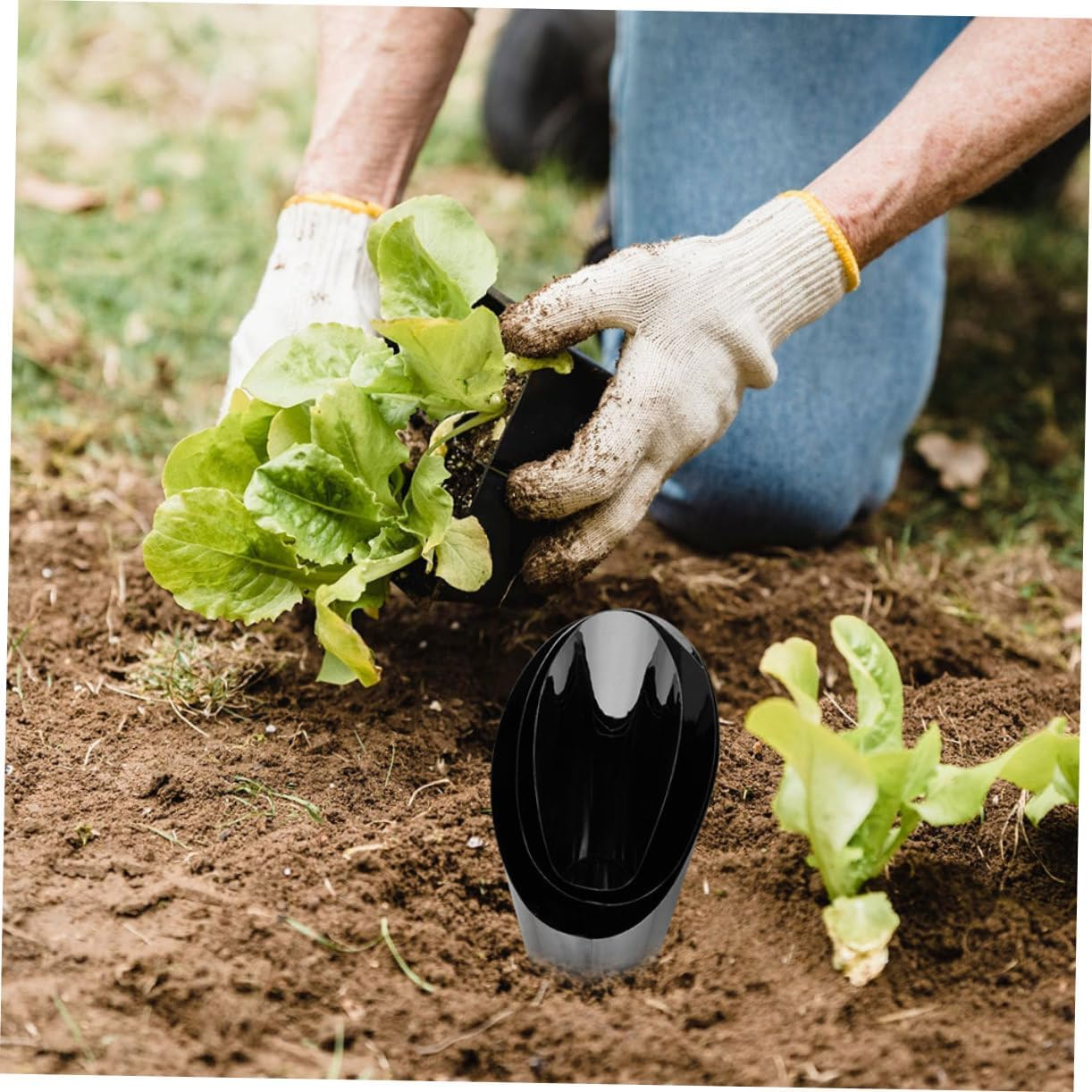 2Pcs Portable Soil Shovel Cup Garden Tool Potting Scoops Lightweight Gardening Cup for Bonsai Planting Spoon image number 5