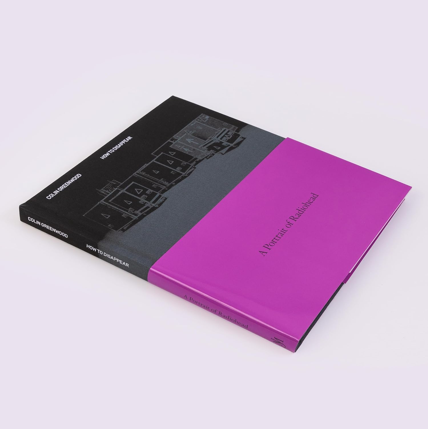 How to Disappear: a Photographic Portrait of Radiohead image number 2