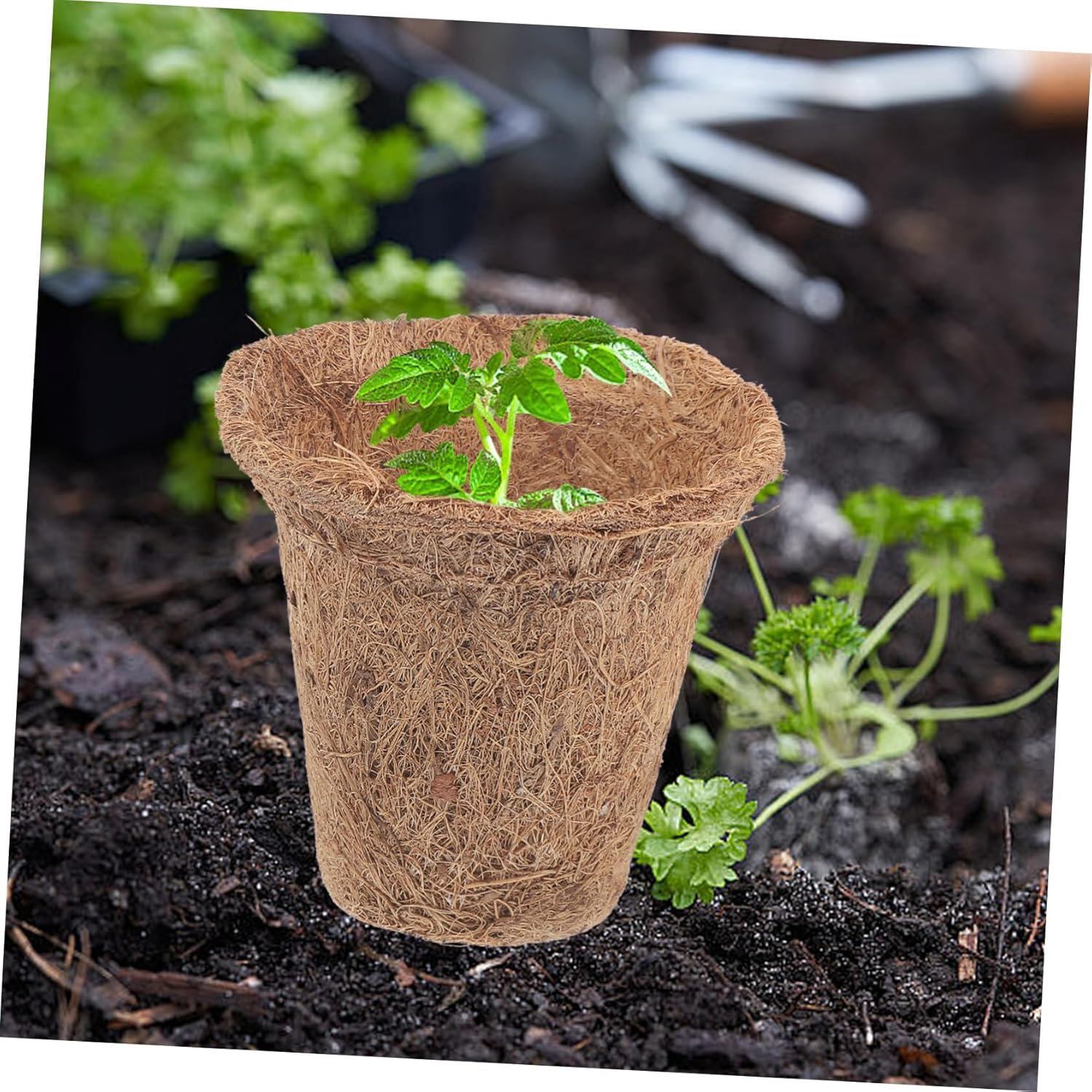 Toddmomy 1Set Coir Plant Nursery Pots Coconut Fiber Cups Nutrient Packs Plant Labels for Easy Transplanting Gardening Supplies image number 6