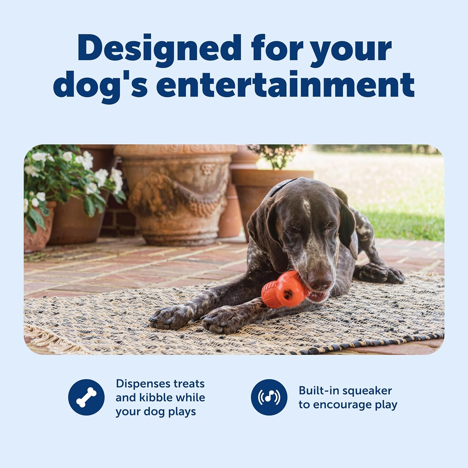 Petsafe Sportsmen Squeak 'N' Treat Troog Dog Chew Toy - Interactive Pet Puzzle for Boredom or Separation Anxiety - Use with Treats - Large image number 2
