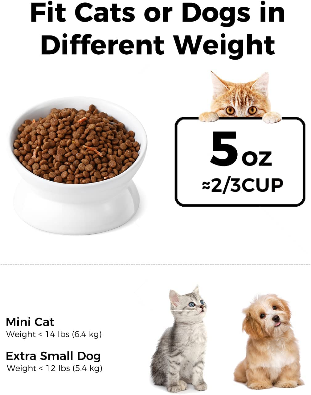Loejan Elevated Cat Food Bowl, 5 Oz Ceramic Raised and Tilted Pet Water Bowl, anti Vomiting and Protect Pets' Spines Cat Dishes for Small Dog, Fat Faced Cat, Kitten (White, 5 OZ)