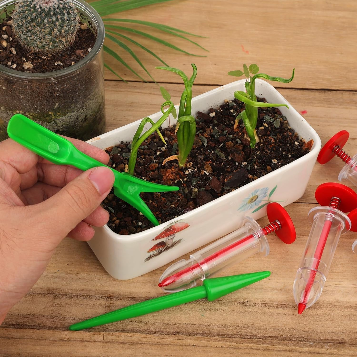 6Pcs Mini Seed Spreader, Manual Seedlings Dibber and Widger Set Handheld Garden Hand Seed Sower Planter Tool Small Sowing Seed Dispenser for Tiny Seeds Planting Vegetable, Flowers image number 1