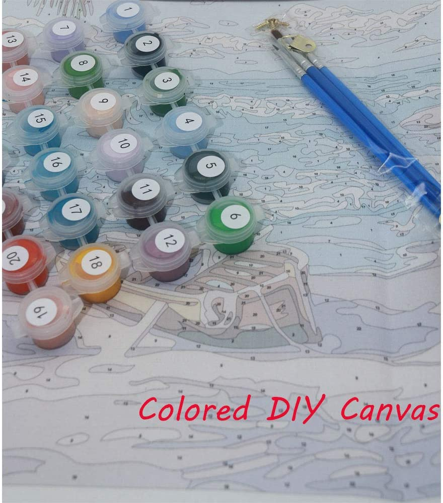 BERYART DIY Oil Painting Paint by Numbers Kits by Hand Colouring for Adults Kids Beginner Gifts - Four Parrots 16X20 Inch (Frameless) image number 3