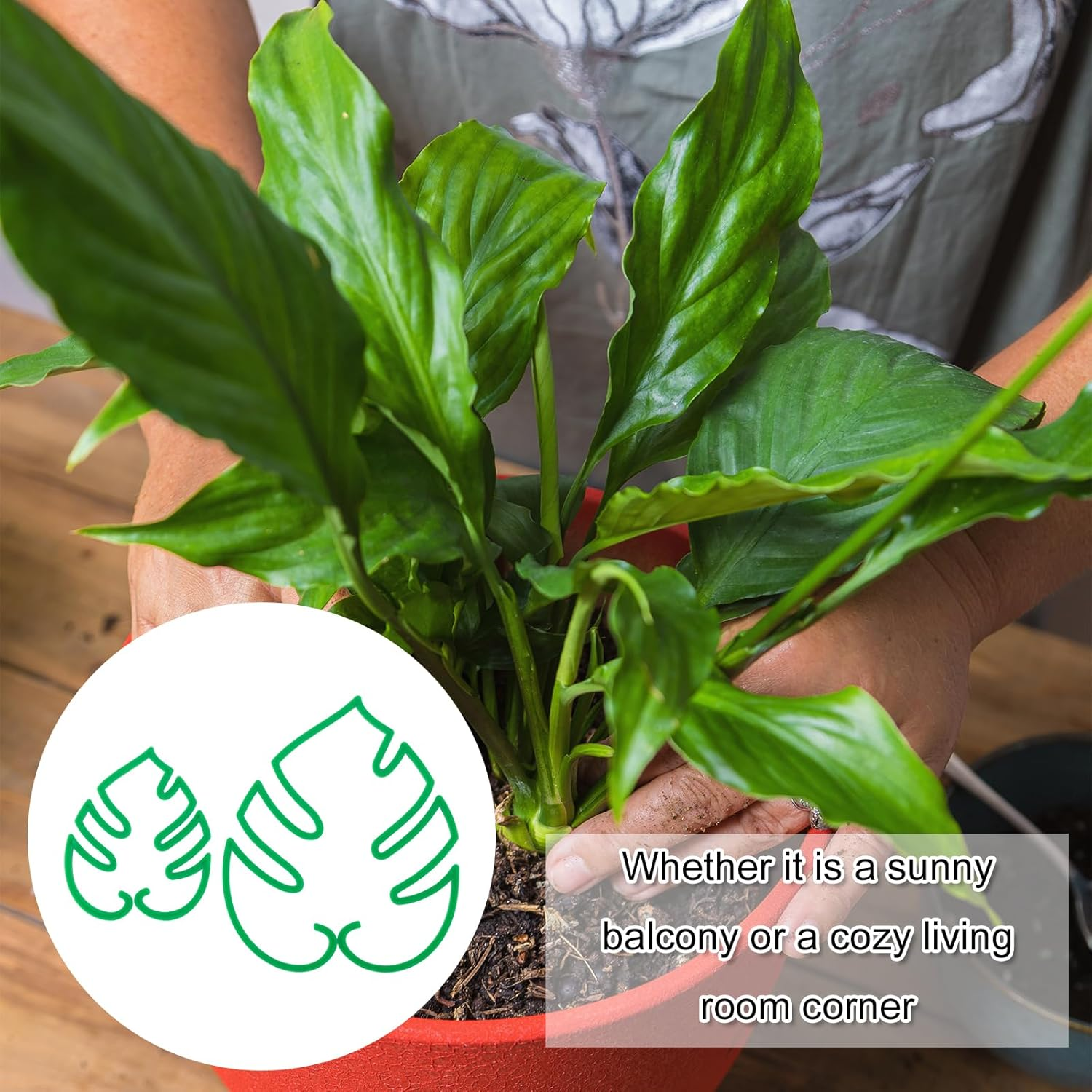 2Pcs Monstera Shaped Plant Stand, 2 Sizes Aesthetic Leaf Plant Support Climbing Houseplant Stem Supports Plant Stem Support Plant Growth Accessories for Keeping Plants Growing Vertical (Green) image number 6