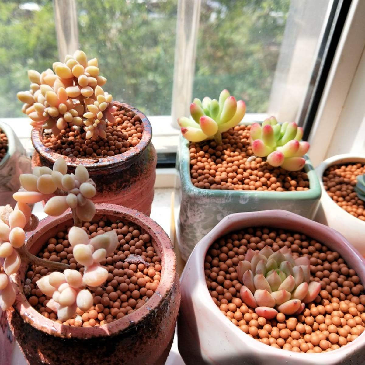 Clay Pebbles Gardening Ceramsite Orchid Hydroponic Grow Media Clay Rocks Drainage Water Purification Ceramsite Decor Cultivation Soil Stone Horticultural Grade for Soil Hydroponics Aquaponics 2.2Lb image number 2