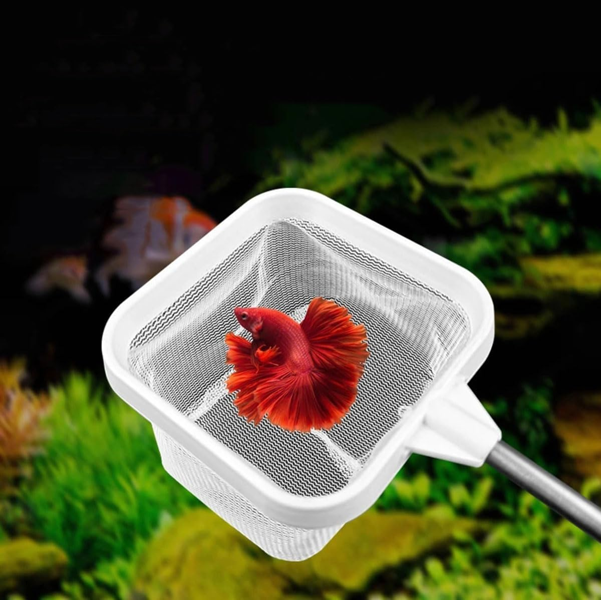 Mini Aquarium Square Fishing Net with Suction Cup Extendable Long Handle Fishing Gear for Catching Fish Shrimp Tank Clean Accessories image number 6