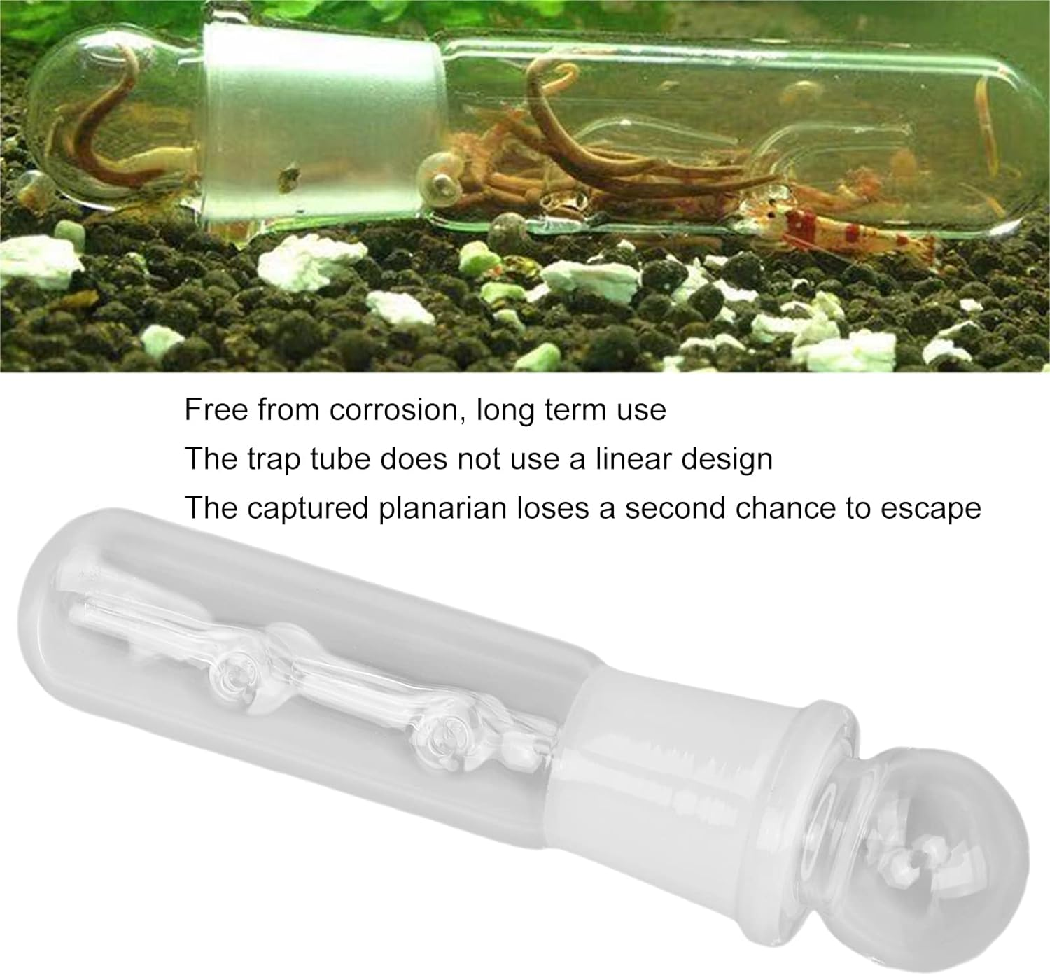 Planaria Trap, Clear Glass High Brightness Planar Leech Trap Tube Red Shrimp Crystal Cherry Shrimp Dwarf Shrimp image number 3