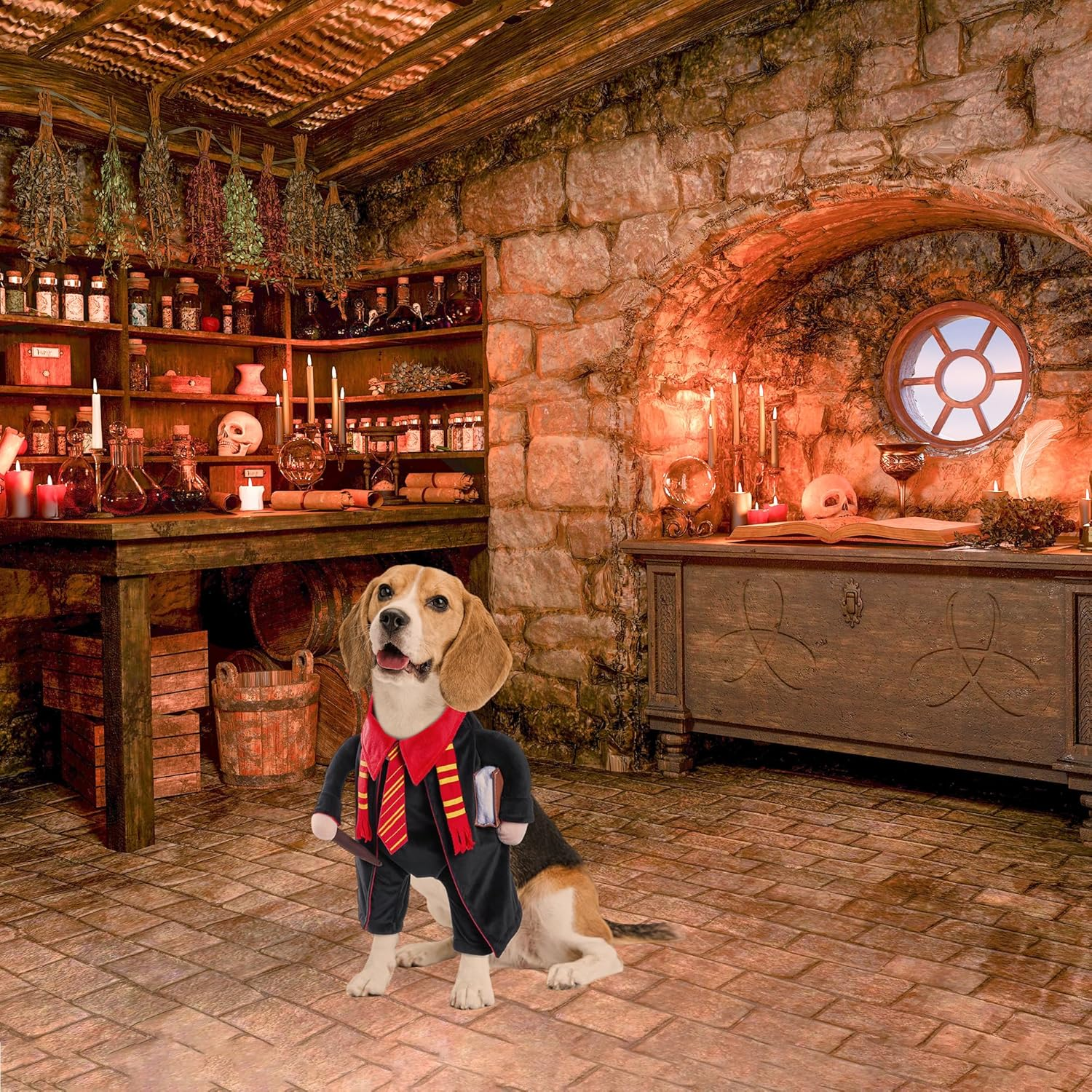 NACOCO Dog Halloween Wizard Costume - Funny Pet Halloween Clothes Cute Dog Cosplay Outfit for Small Medium Dogs (XS) image number 3