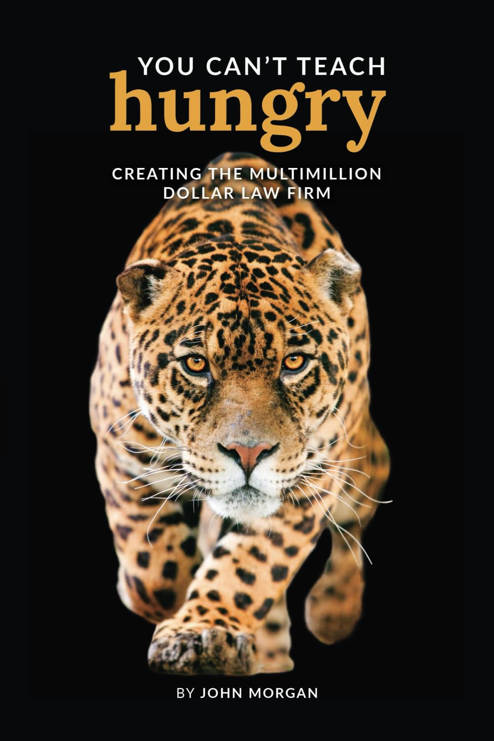 You Can'T Teach Hungry: Creating the Multimillion Dollar Law Firm image number 1