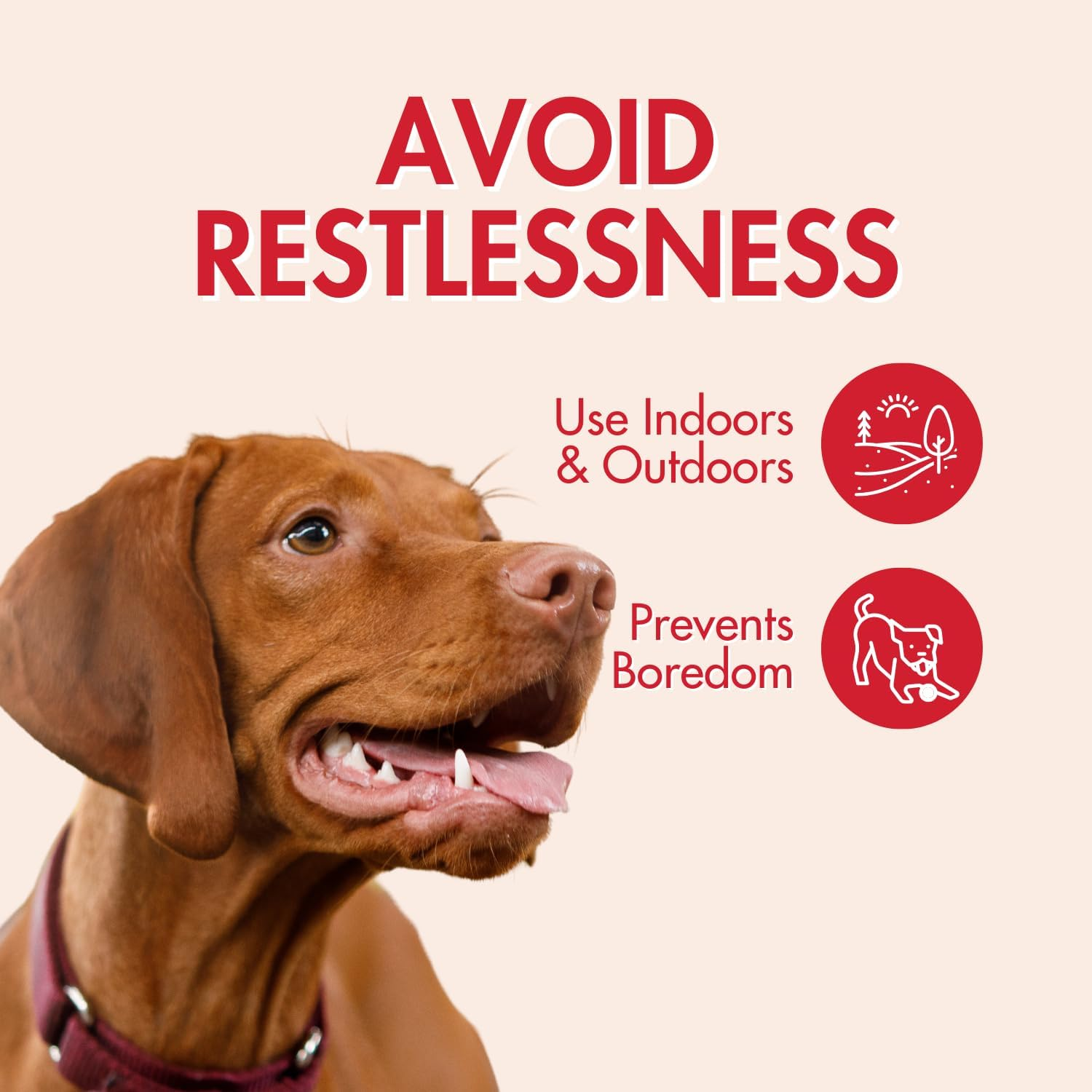 SPOT by Ethical Products - Bambone Braided Stick, Ring, Triple Chew Toy, Hickory and Bison Flavored Dog Toys Holiday Shopping for Bone Gifts for Aggressive Chewers Small (3Pack) Brown image number 7