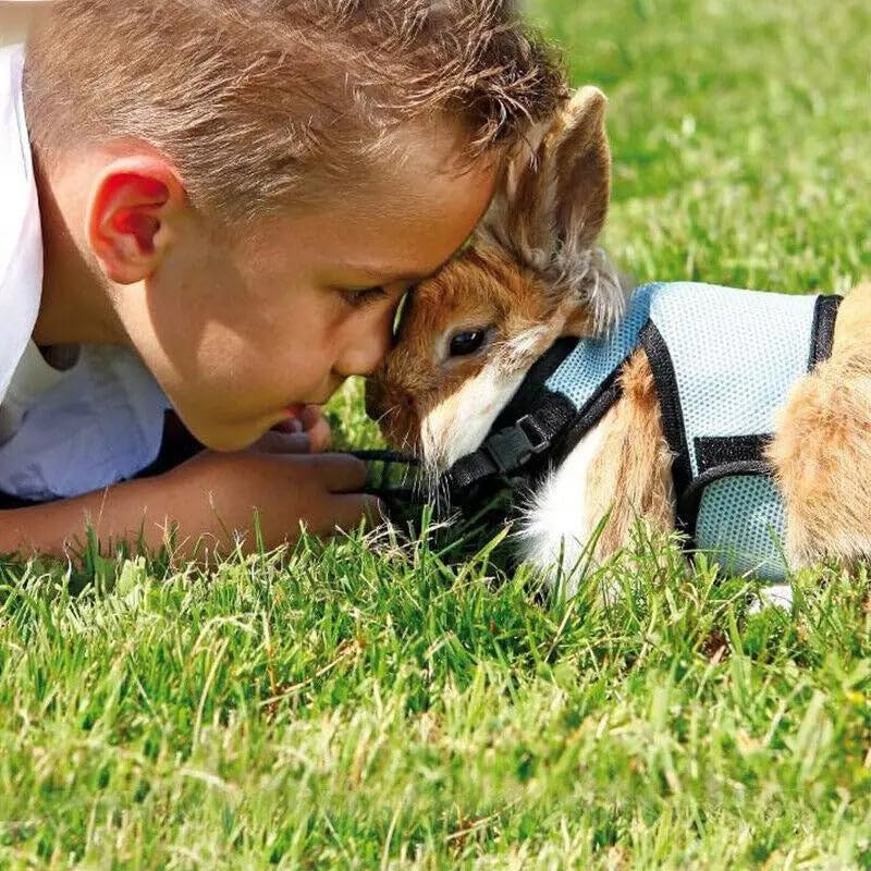 AIMALL Small Animal Harness Guinea Pig Forret Hamster Rabbit Squirrel Vest Clothes Lead, Adjustable Small Animal Harness Vest image number 5