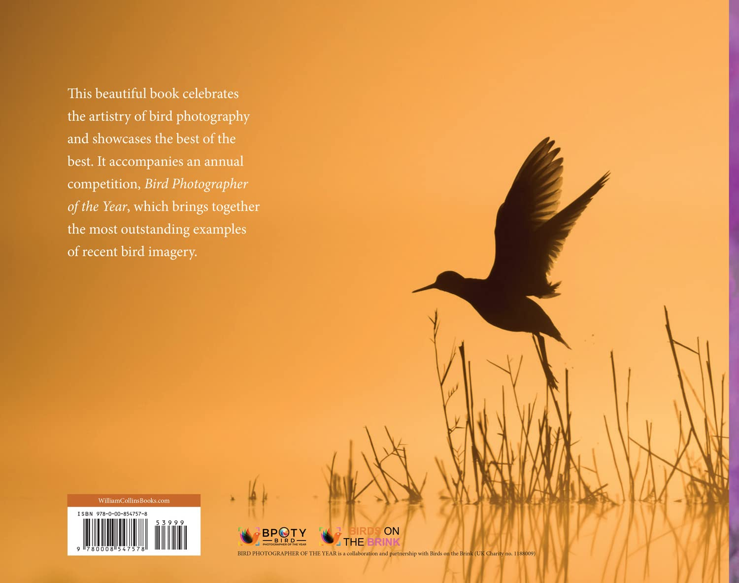 Bird Photographer of the Year: Volume 7 image number 1