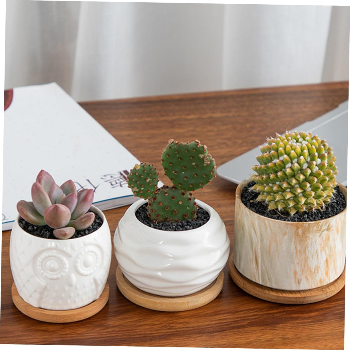 Flowerpot Tray Set 5Pcs for Home Gardening Includes Multiple Sizes 6.5-12Cm Diameter Non-Slip Water Plate for Indoor Plants and Ceramic Pots Sturdy Bamboo Bases image number 6