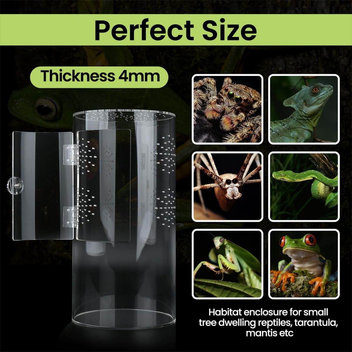 AIMALL Jumping Spider Cylindrical Pet Breeding Box with Front Door | Acrylic Reptile Cage for Pet Spiders and Small Reptiles, 11.5X6In Terrarium Habitat image number 1