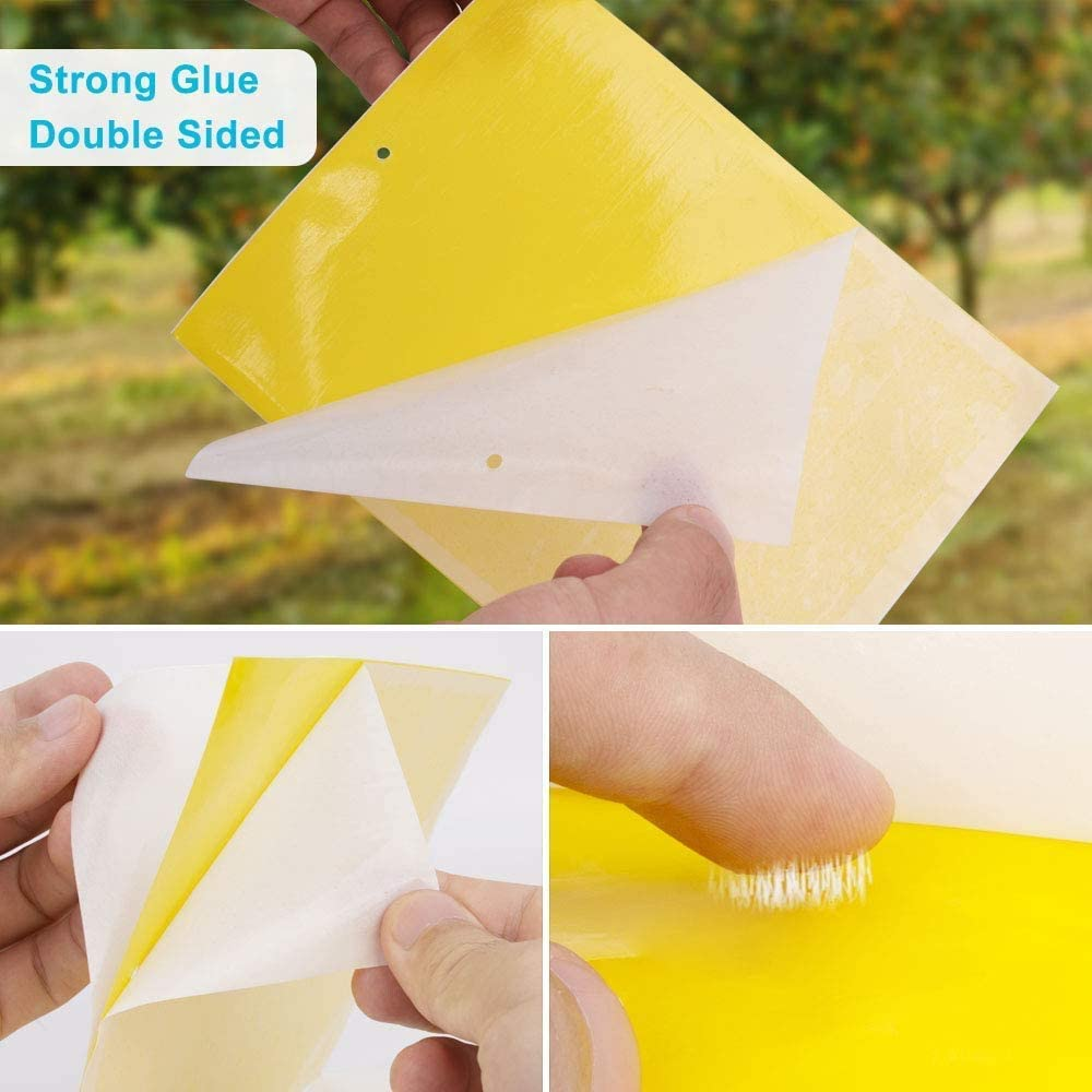 20 Pack Sticky Trap, H HOME-MART Dual-Sided Yellow Sticky Traps,Fruit Fly Trap Indoor,Gnat Traps,15X20Cm, Twist Ties Included for Flying Plant Insect like Fungus Gnats, Flying Aphid, Leaf Miners image number 2