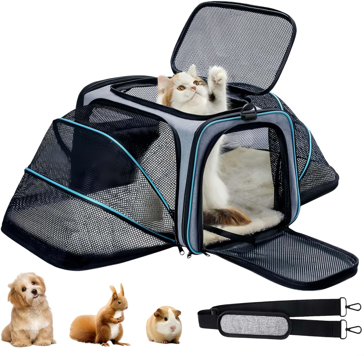 2 Side Expandable Pet Carrier for Cats & Small Dogs, Airline Approved Portable & Soft Sided Carrier Travel Bag image number 5
