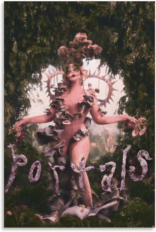 Phoebe Bridgers Poster Album Cover Art Wall Canvas Pictures for Modern Office Decor Vintage Prints 40X60Cm Unframed (G)