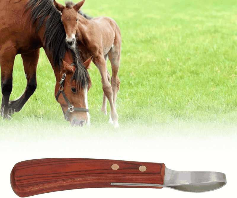 Hoof Knife,Stainless Steel Blade Curved Farrier Horse Hoof Trimmer with Non Slip Rubber Wood Handle,Multipurpose Hoof Loop Trimming Knife,For Horses,Donkeys,Cattle image number 1