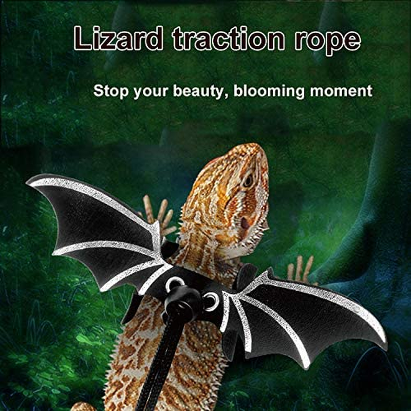 Outdoor Adjustable Black Soft Leather Lizard Leash Harness Set for Amphibians and Small Pet Animal image number 6