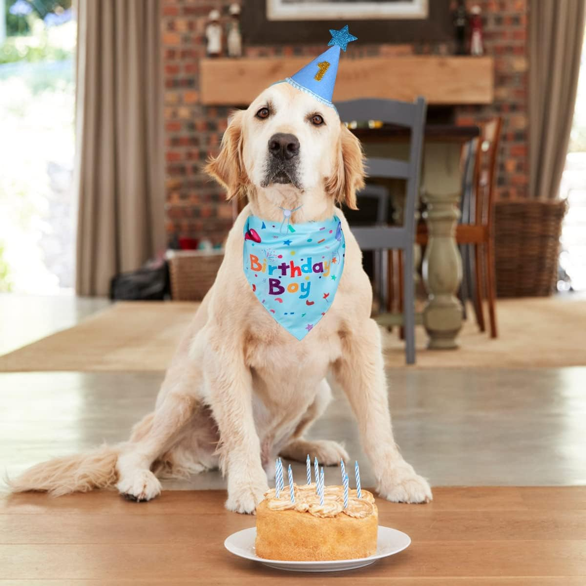 Dog Birthday Bandana & Hat Set, Blue, Medium, Dog Accessories - Blue Birthday image number 4