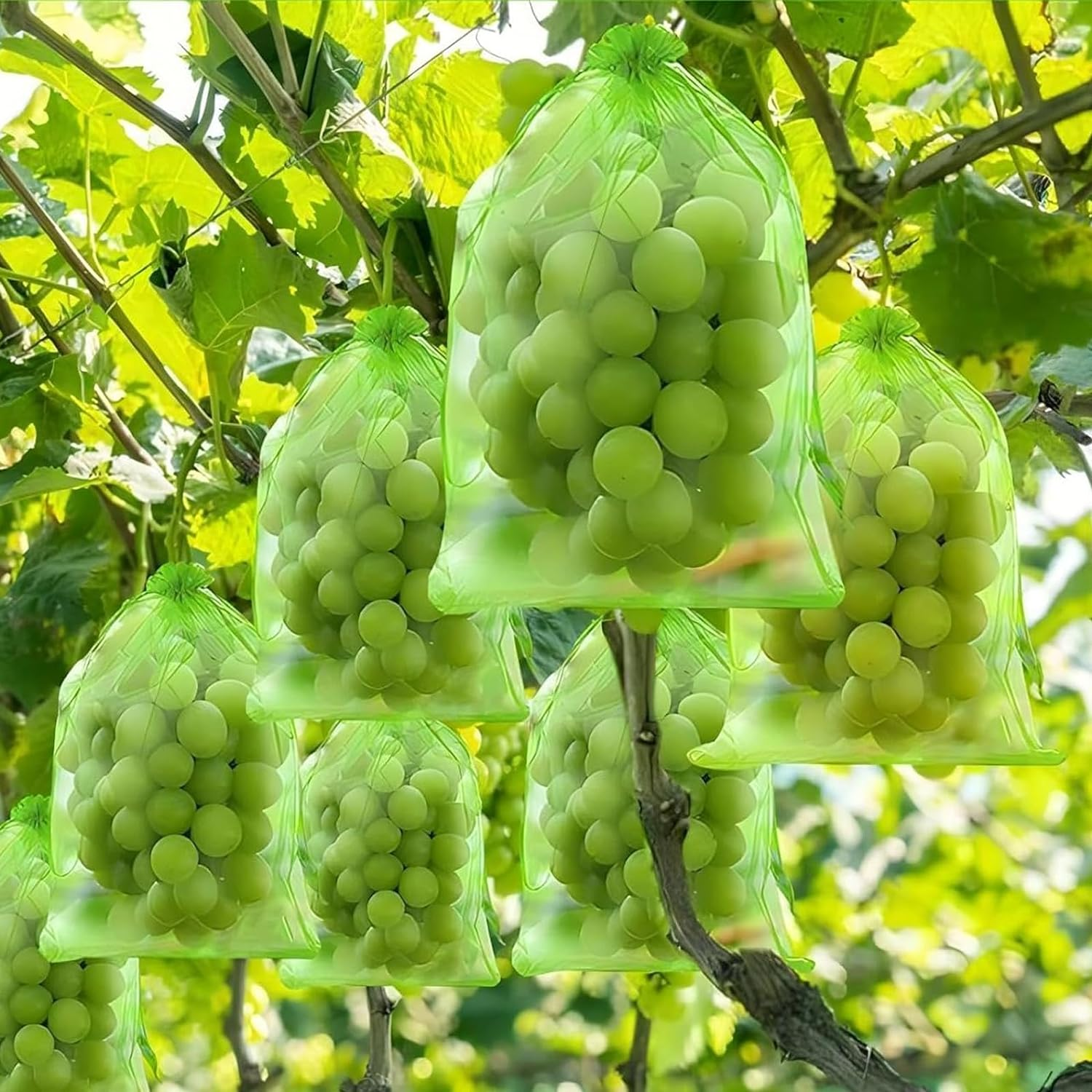 30Pcs Fruit Protect Bags,Reusable Mesh Garden Netting Protection Bag with Drawstring for Plants Vegetables Fruit Flower 8 Inch Width 12 Inch Length image number 5