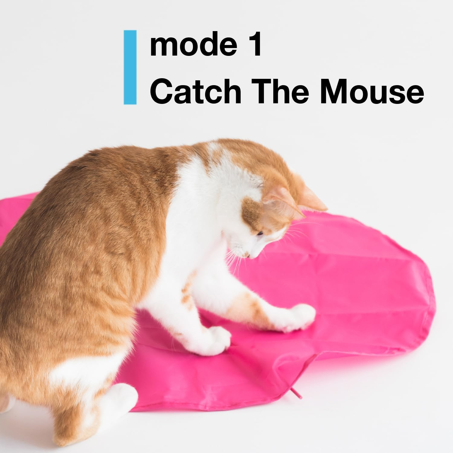 Interactive Cat Play-Catch the Tail-Electric, Rotating Feather , Motion, Automatic, Best Undercover Mouse under Blanket Cat Toy image number 5