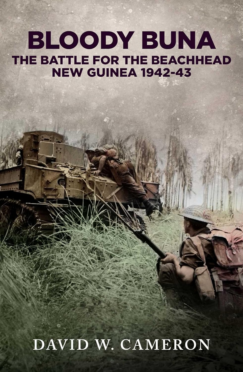 Bloody Buna: the Battle for the Beachhead New Guinea 1942