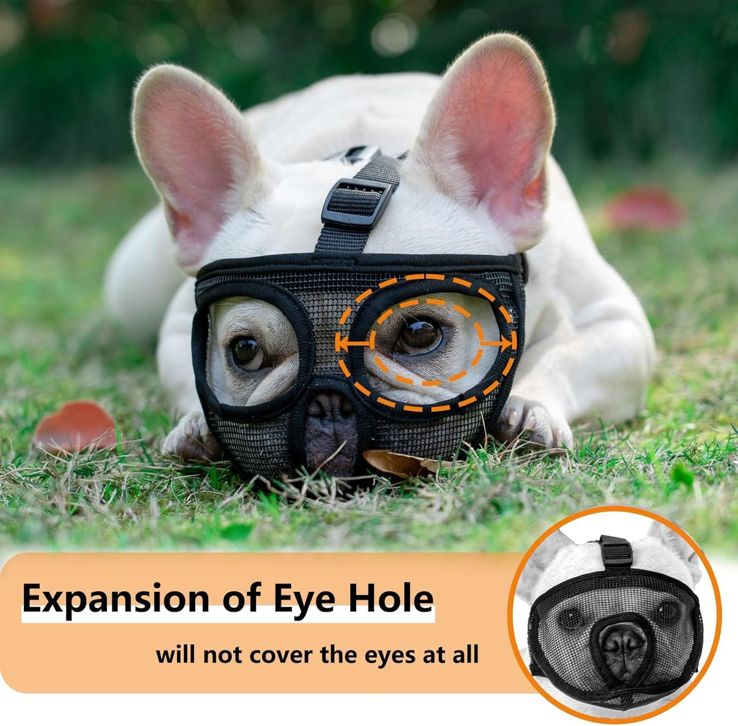 Short Snout Dog Muzzle, Adjustable Won&rsquo;T Cover Eyes Mesh Bulldog Muzzle for Biting Chewing Licking (Black, M) image number 6