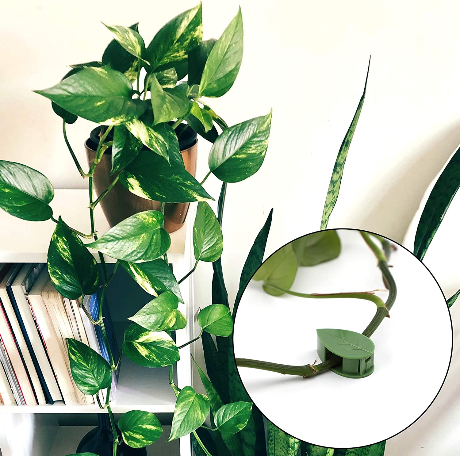 SAVITA 30PCS Plant Climbing Wall Fixture Clips Self-Adhesive Plant Wall Fixer Clip Invisible Leaf Shaped Vines Holder for Home Decoration and Wire Fixing Cable Organizer image number 2