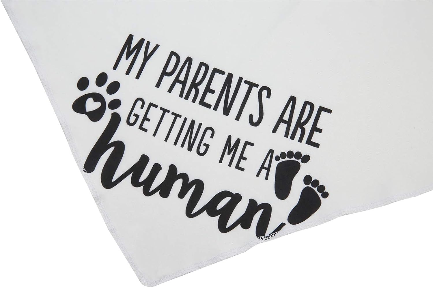 JPB My Parents Are Getting Me a Human,2 Pack Gender Reveal Dog Bandana image number 2