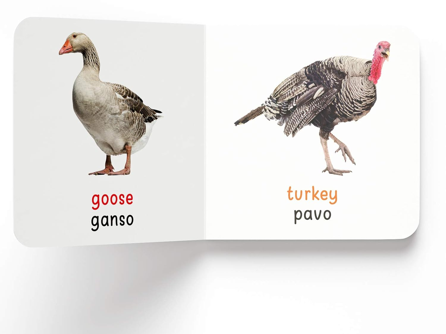 My First English - Espa&ntilde;ol Learning Library (Mi Primea English - Espa&ntilde;ol Learning Library) : Boxset of 10 English - Spanish Board Books image number 3