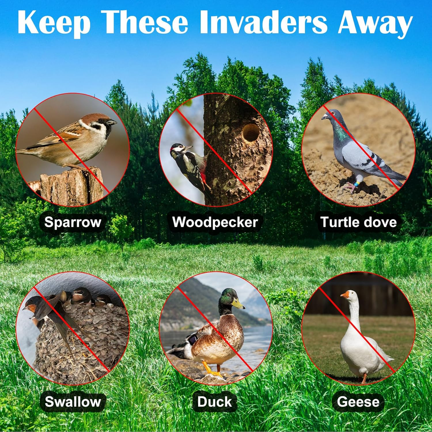 [492FT] Effective Birds Scare Ribbon, Reflective Flash Reflectors to Keep Pigeons, Hawks, Woodpeckers, Geeses Away from Trees Plants Crops image number 4