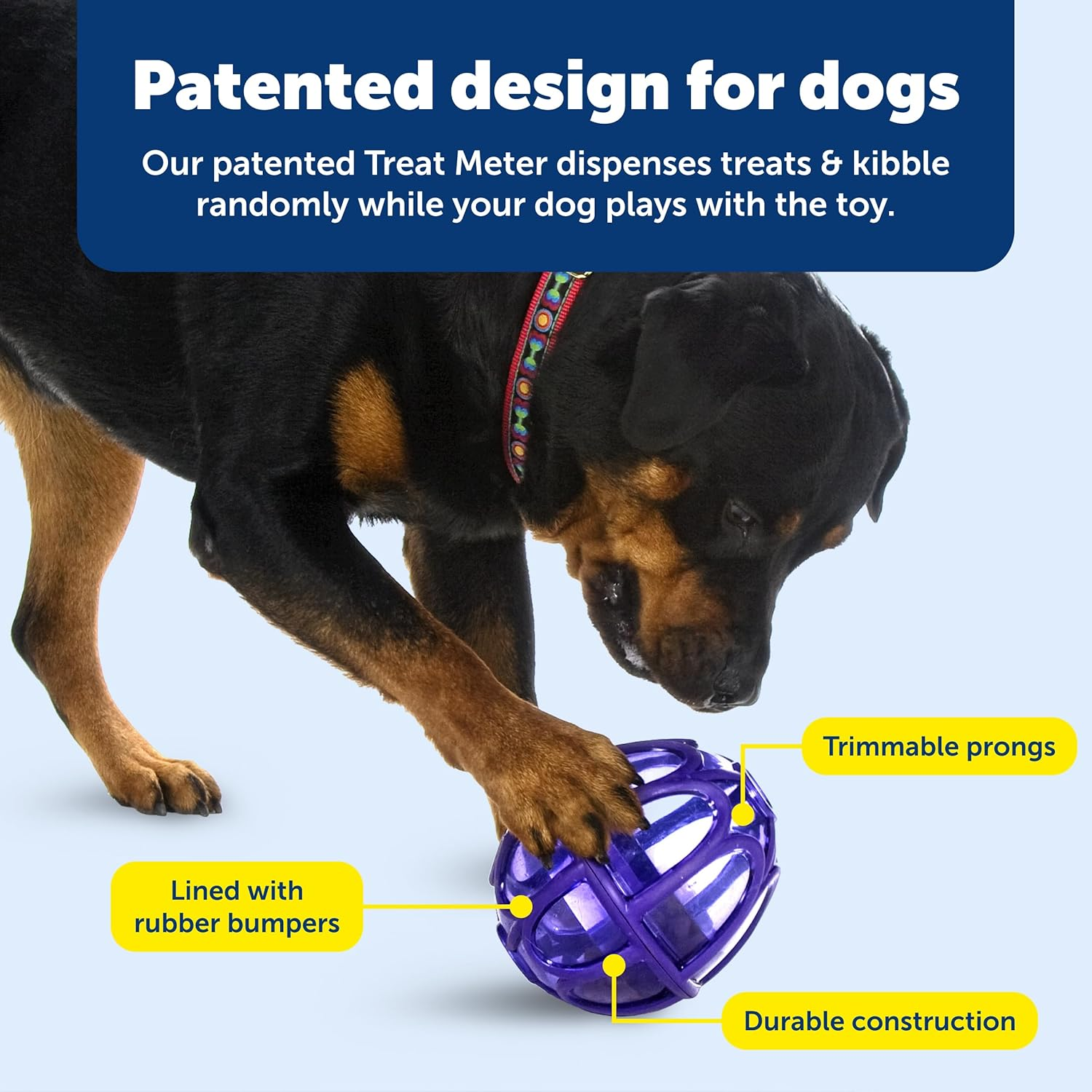 Petsafe Busy Buddy Kibble Nibble Meal Dispensing Dog Toy, Small - Pty00-13739,Purple