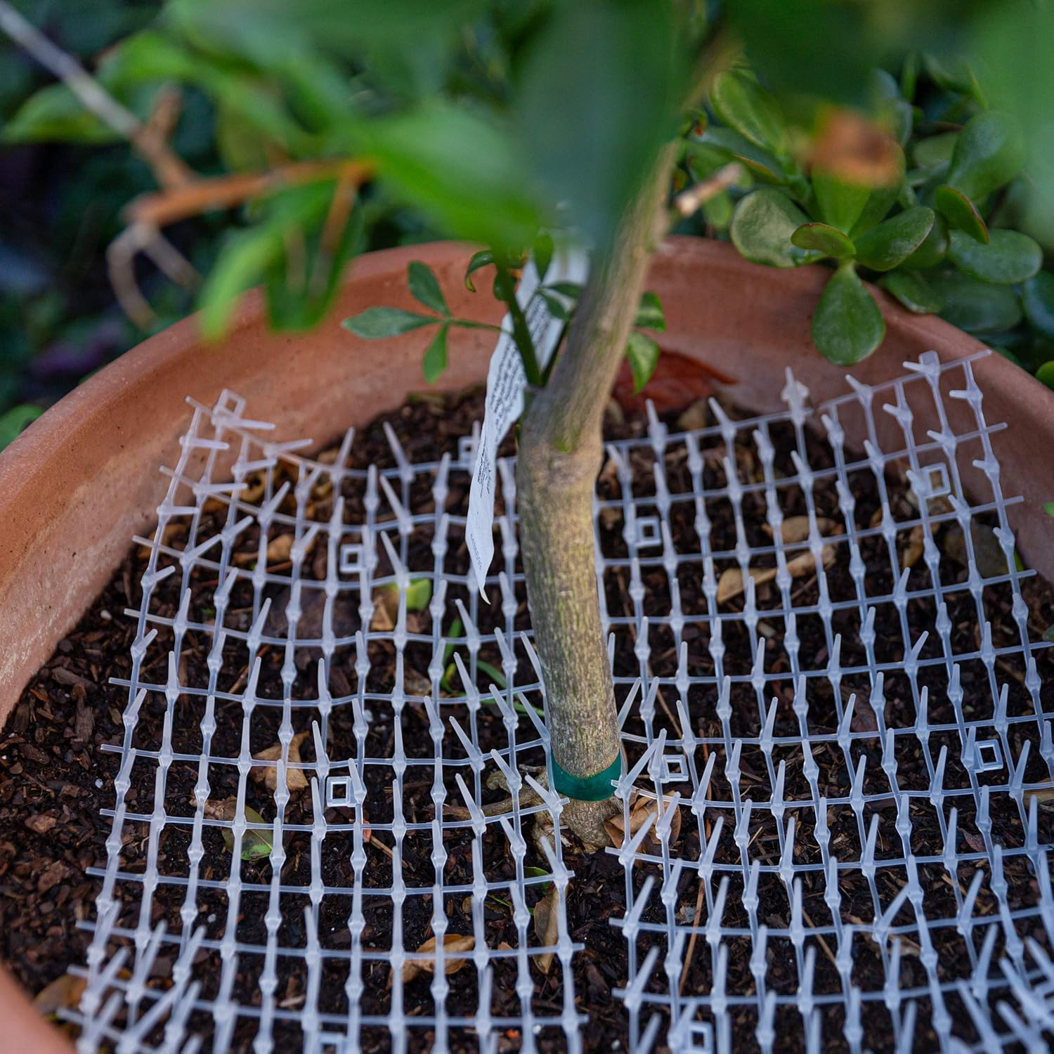 Extra Wide Dog Scat Roll - Plastic Pet Training Mat - 6.5 Ft, 17.5 in - Keep Dogs off Couch - Cat Spike Mat - Cat Deterrent image number 3