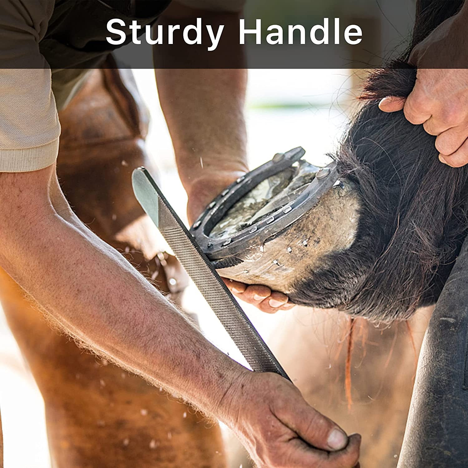 Horseshoe File 14 Inches, Horse Rasp and File with Handle for Horse Hoofs, Hoof Trimming Tool for Repairing Horse Goat Pig Hooves image number 4