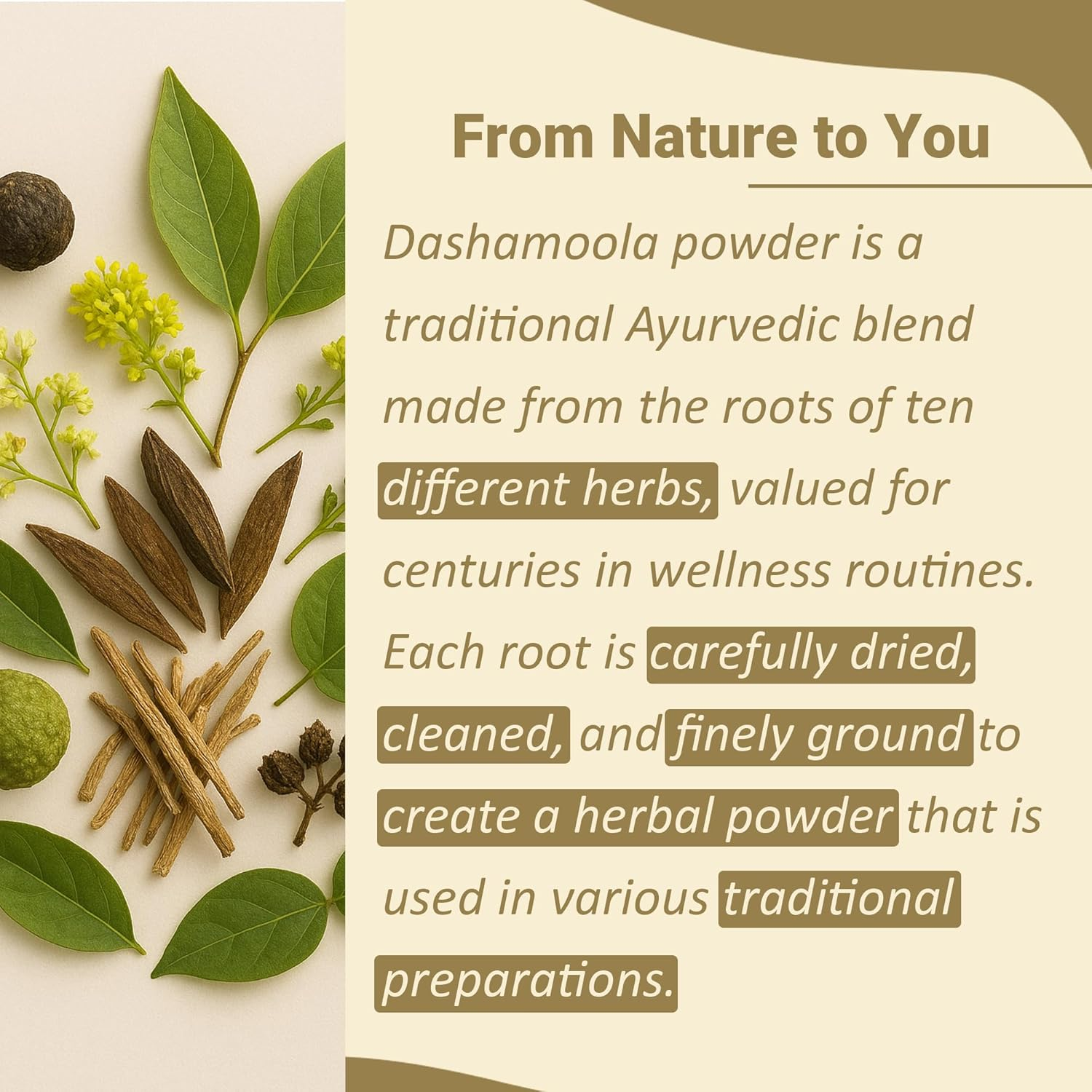 Mi Nature Dashamoola Powder| 10 Dried Herbs| Also Called Dashamula, Dashmulam or Dashamul | Made in India| 227Gram (1/2Lb)(8Oz)